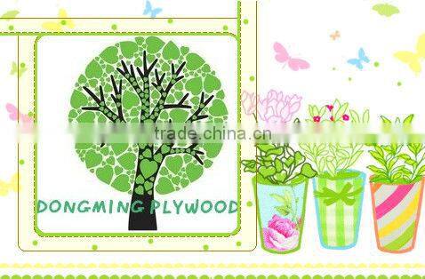 Falcata Core Blockboard