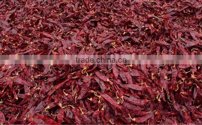 sweet paprika pods