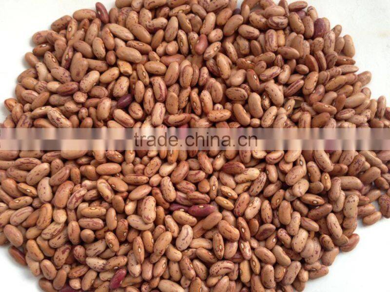 2012 , 2013 Light Speckled Kidney Bean with Cheapest price ,LSKB, Long shape
