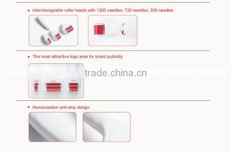 4 in 1 Derma Roller for Skin Whiten and Tighten Hair Loss Treatment Wrinkle Removal for Sale