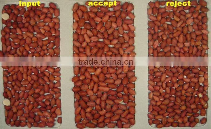 2016 best sell cashew nuts processing machinery with lower price using 5000+pixel