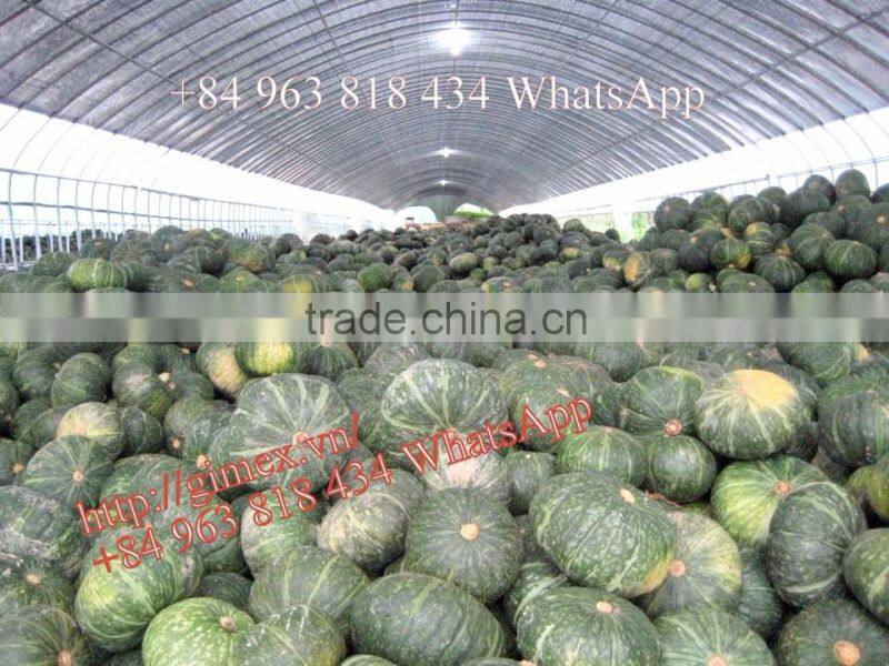 FRESH PUMPKIN +84963818434 whatsapp