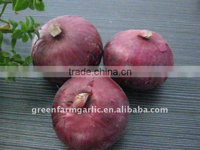 Chinese 2011 New Fresh Red Onion