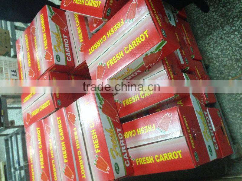 Fresh Stytle Fresh Vegetable Fresh Carrot From China