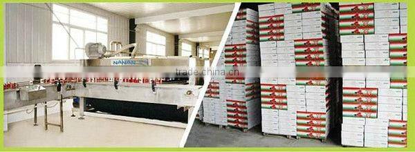 fresh tomato paste in tin food and red color