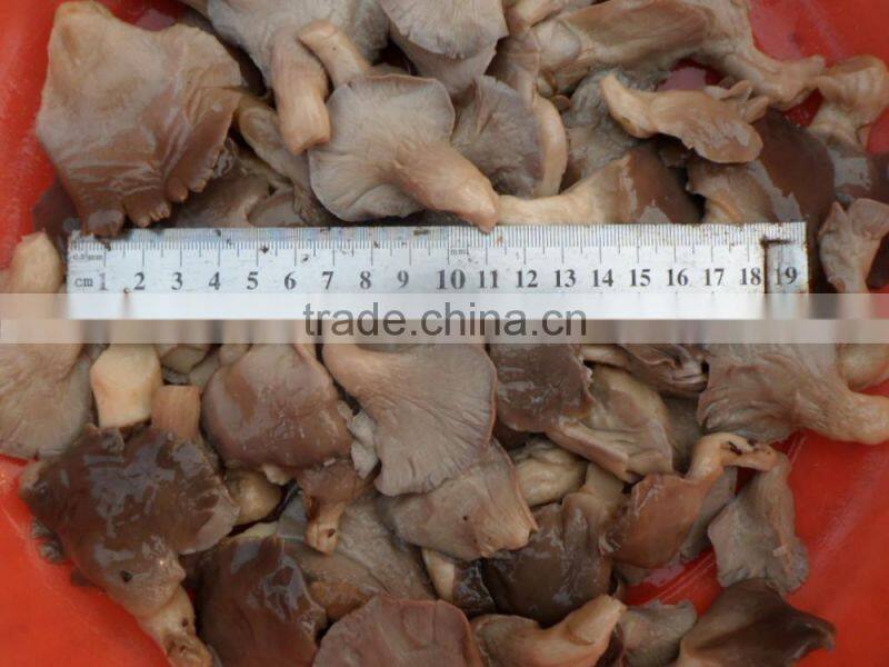 sale vegetarian oyster mushroom bottle pleurotus mushrooms dried oyster mushroom