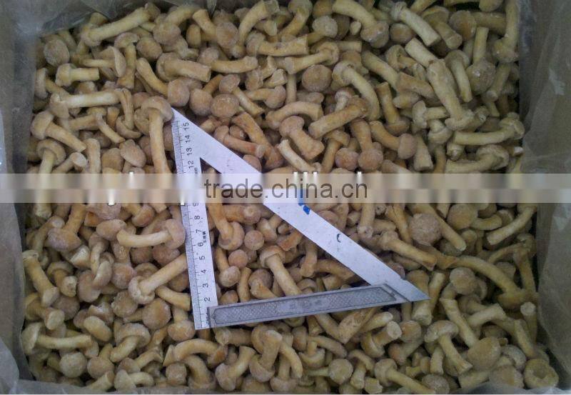 IQF nameko mushroom/frozen nameko mushrooms