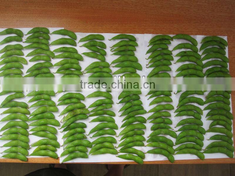 provide frozen soybean