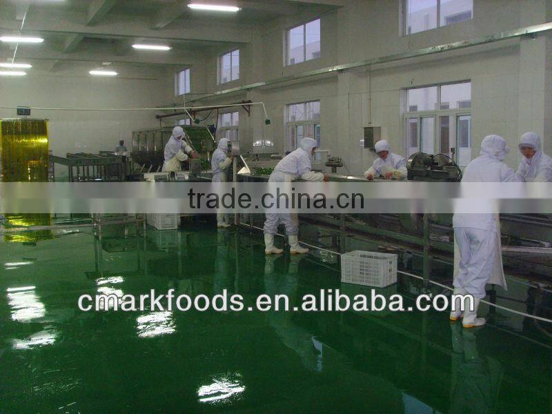 dehydrated onion flakes