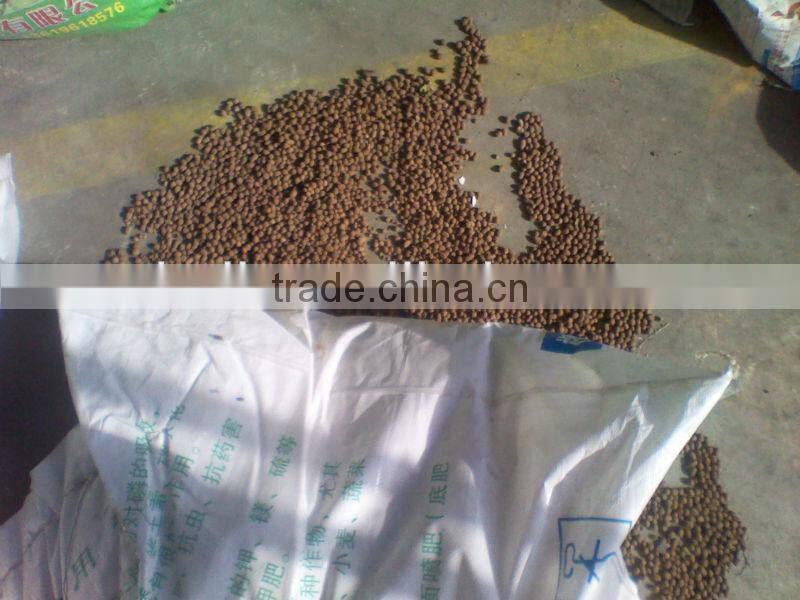 best quality Animal / chicken manure fertilizer pellet making machine//0086-15838061756