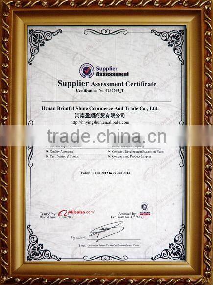 2013 industrial steam cleaner