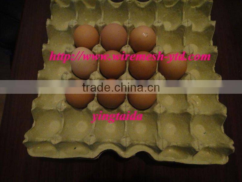 egg tray craft