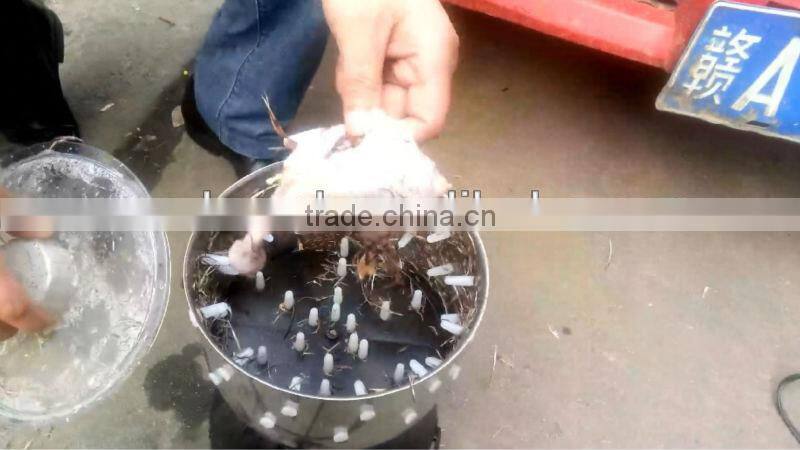 HHD Mini Bird Plucker Hair Plucker Machine Quail Feather Plucker CE Marked