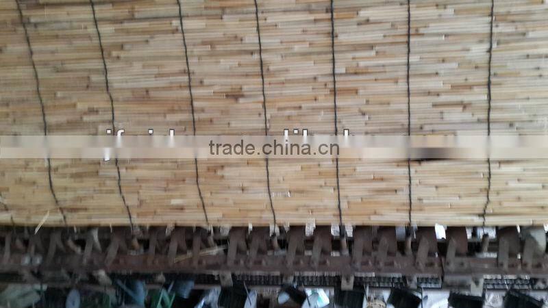 high quality&cheap price reed fence