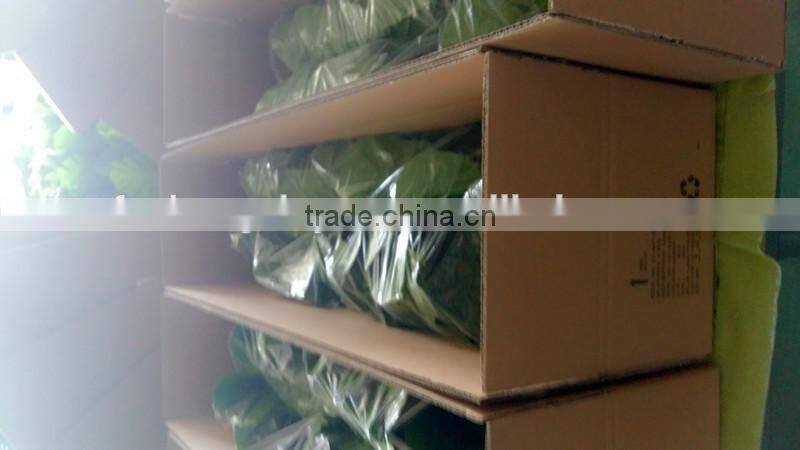 Green Kingdom Artificial Potted Plant Cheap