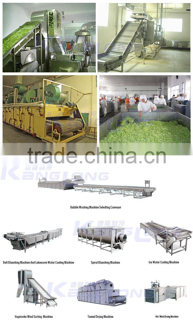 Large Output vegetables fruits drying line