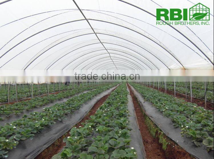 Tunnel plastic Greenhouse for agriculture low cost