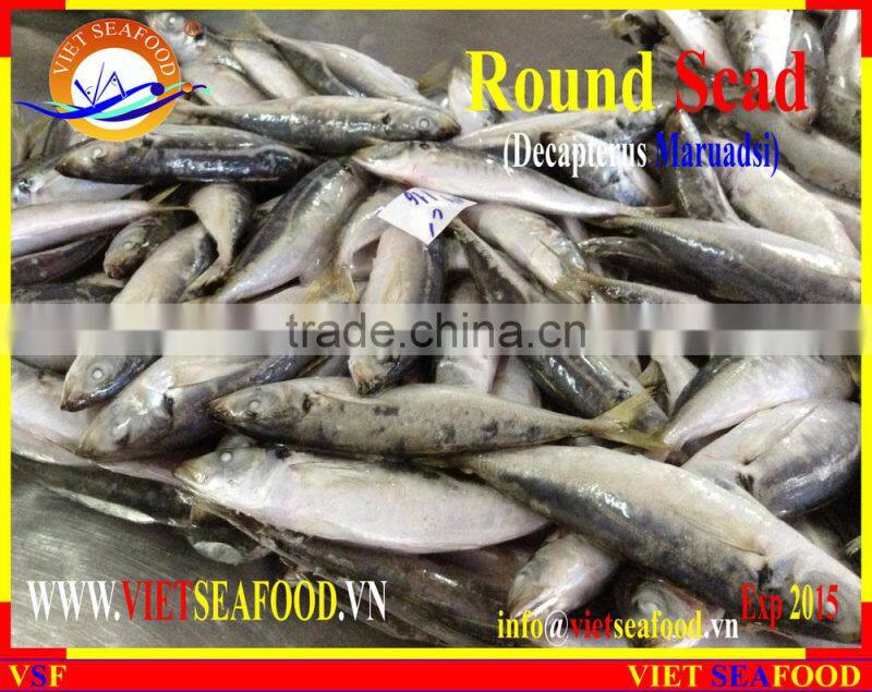 FROZEN W/R ROUND SCAD