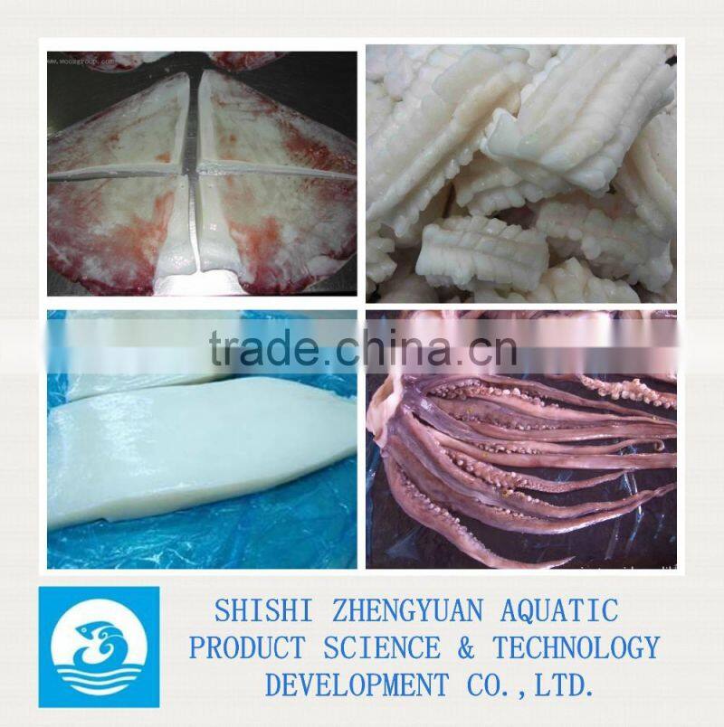 Zhengyuan Aquatic Frozen Giant Squid Meat