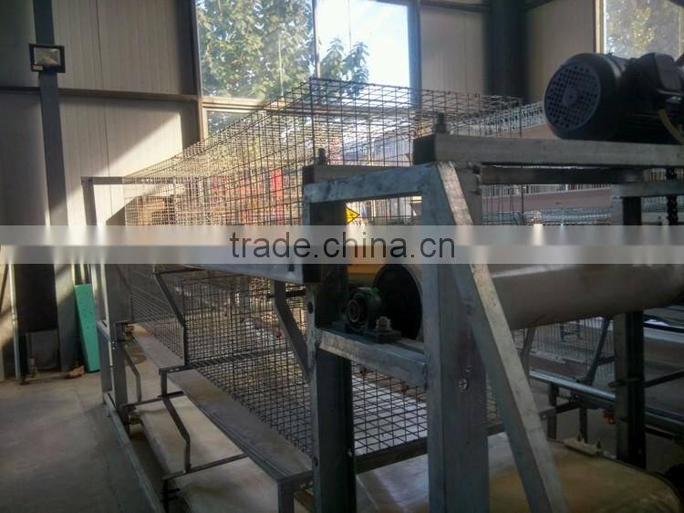 Shandong Heracles trade assurance poultry farming equipment chicken layer cage for sale