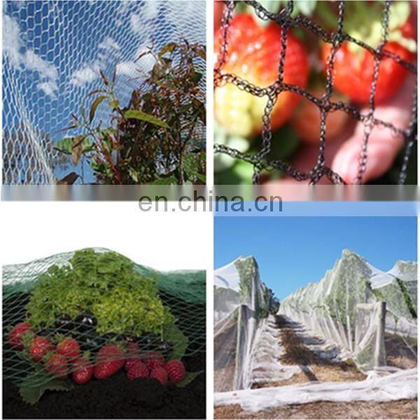 anti bee net / HDPE bee netting / anti hail netting