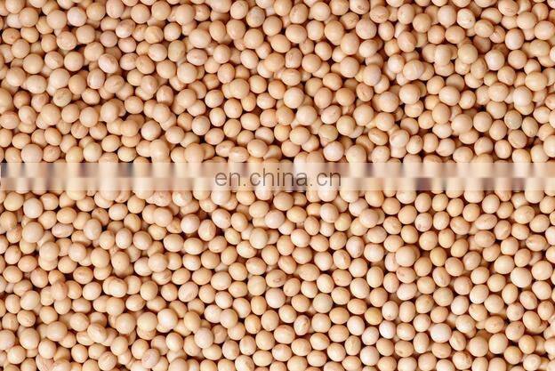 Large Capacity Automatic Spiral Oil Presswith Vaccum Filter Integrated Oil Refining Machinery