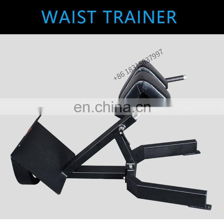 Commercial precor gym equipment bench press workout back extension bench