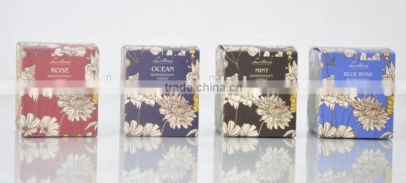 100g High quality Decorative scented Glass candle jar SA-1917