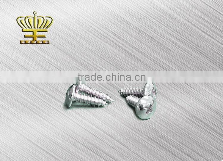 Professional manufacturer Hot sale new truss head self tapping screw