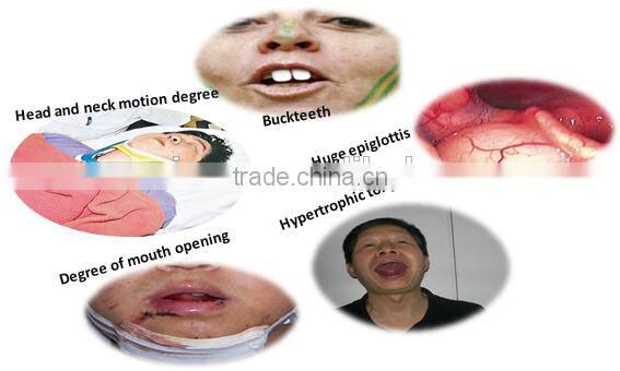 Little animal gastroscope bronchoscope3.8mm portable flexible reusable video veterinary endoscope