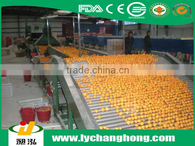 Yellow orange fruit/names of red fruits