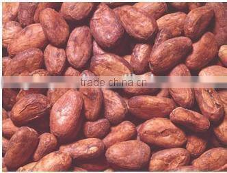china cocoa bean peeler machinery
