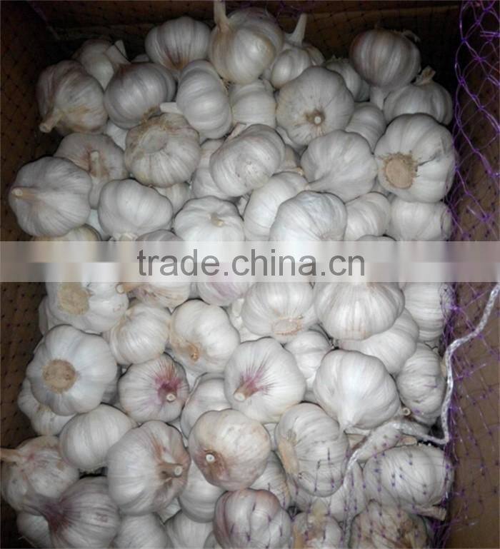 garlic in brine garlic pickles garlic