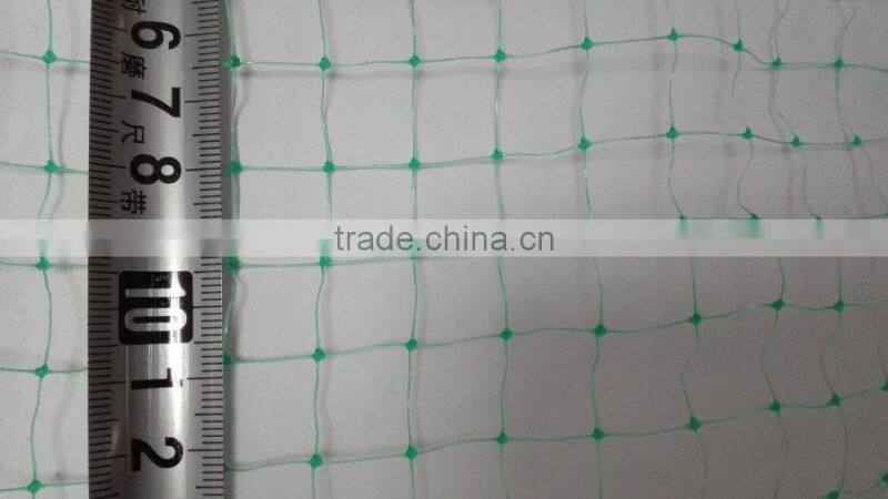 Agricultural netting anti bird net with 2 inch holes/extruded garden anti bird net/fruit cover bird screen mesh