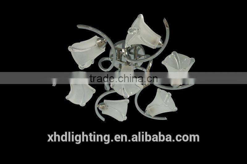 XHD Lighting modern delicate ceiling lamp for indoor decoration