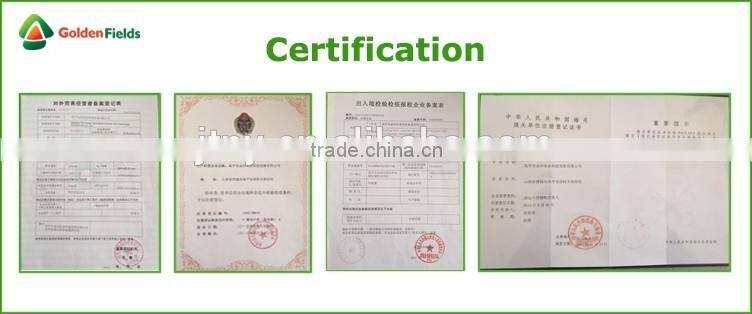 Black Chinese Mushrooms,Shitake Mushrooms Health Benefits,Growing Shitake Mushrooms