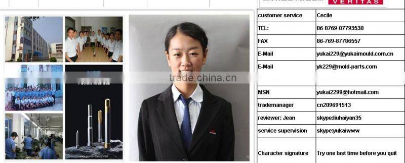 DIE MOULD PUNCH PRECISION