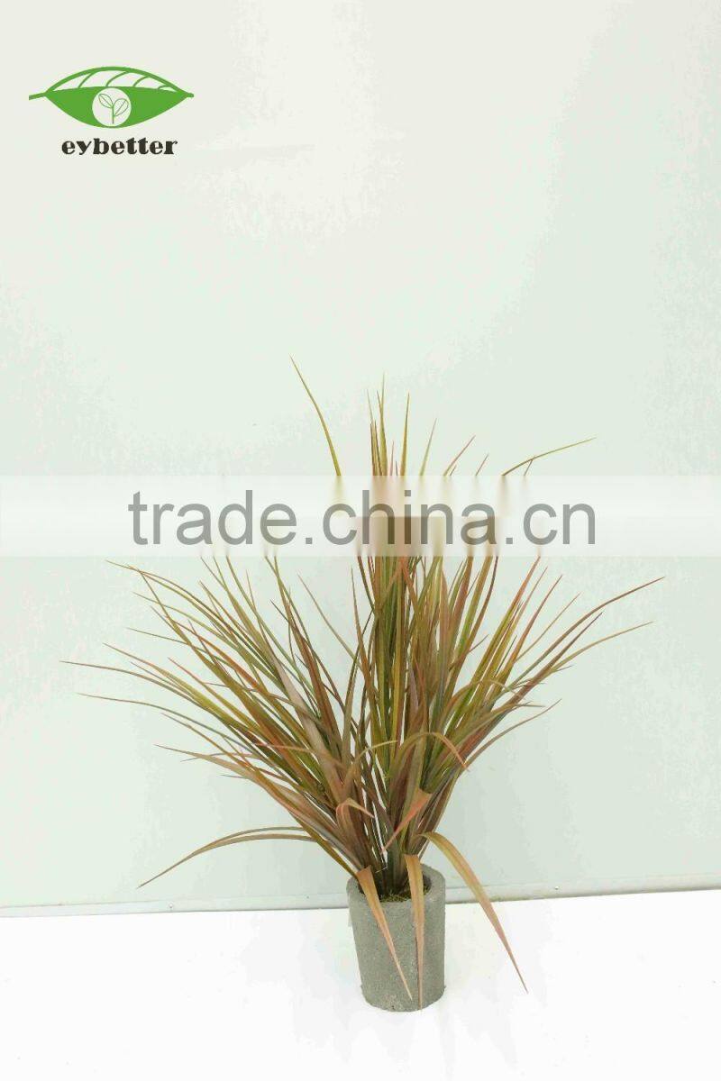 hot selling narture green air plants bonsai for garden decoration