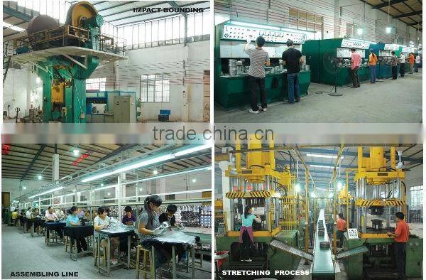 flower kettle/stainless steel whistle kettle/ whistle pot