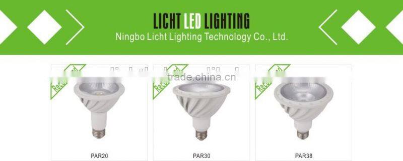 COB PAR20 PAR30 PAR38 LED SPOTLIGHT