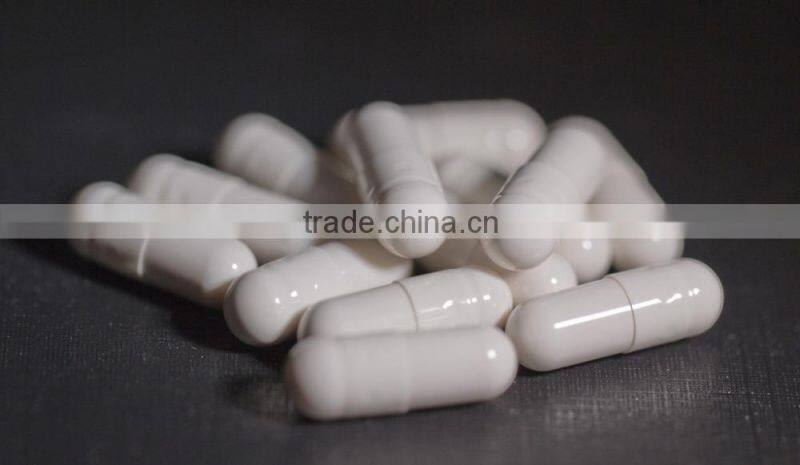 NJP-400 Fully automatic medicine soft hard capsule machine