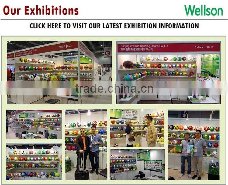 Colorful machine stitched 18 panels volleyball