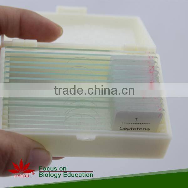 High quality 18pcs blood test prepared slides set