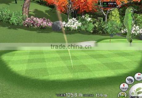 3D screen golf equipment