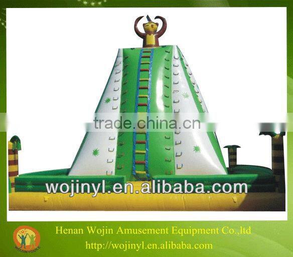 Kids rock backyard climbing wall