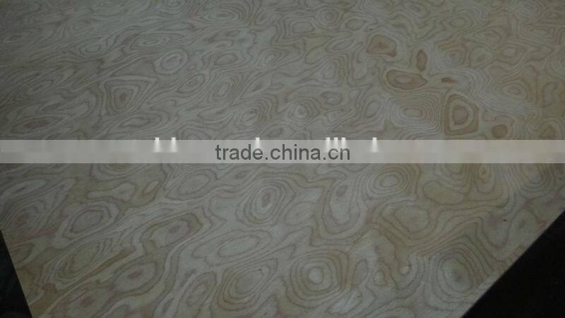 EV white Burl MDF Board from Linyi China