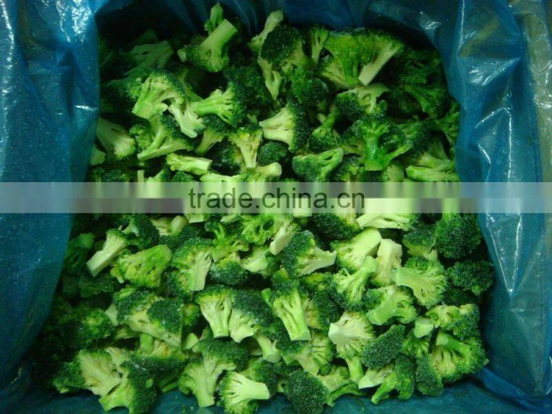 Frozen Broccoli Exporter