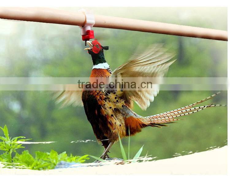 Inner Buckle type Water Drip Head Automatic Nipple Chicken Drinker