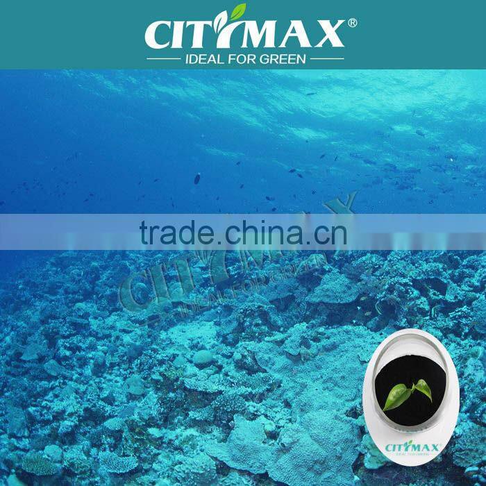 Seaweed Extract Bio fertilizer Plant