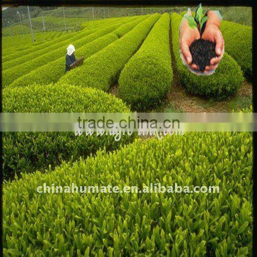 solid sodium humic acid (HA-Na) muck